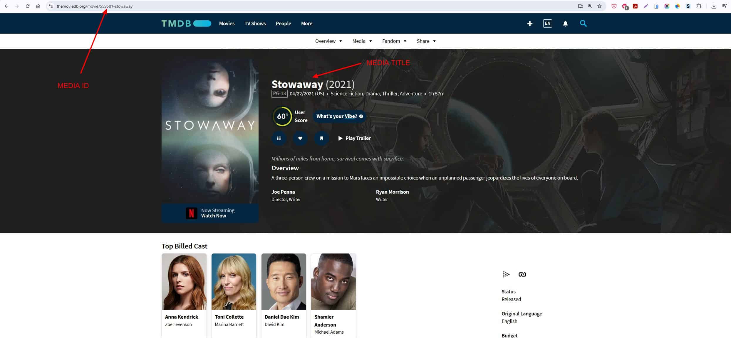 MEDIAFY - Get Movie and Series Data with TMDB API WordPress Plugin MEDIAFY - Get Movie and Series Data with TMDB API WordPress Plugin